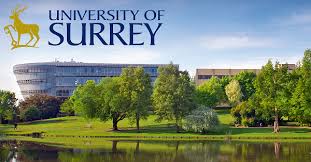Image result for University Of Surrey