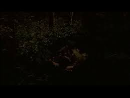 「ソル・ジャクソン」の画像検索結果