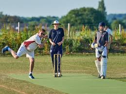 Image result for Budleigh Salterton Cricket Club