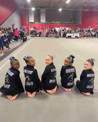 Image result for Elite Recreational Gymnastics Club