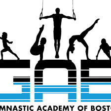 Image result for Focus Institute of Gymnastics