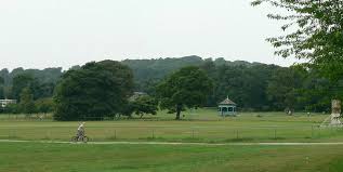 Image result for Horsforth Cc