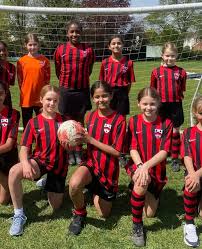 Image result for Wolverhampton City Netball League