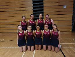 Image result for Penryn Netball Club