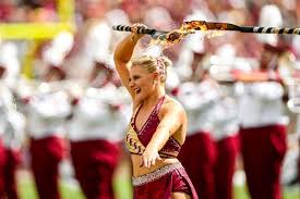 Image result for Strawberry Fayre Majorettes