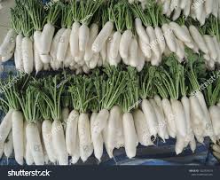 Attēlu rezultāti vaicājumam “Raphanus raphanistrum fruit”