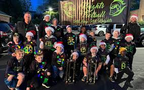 Image result for New Latchingdon Youth Football Club