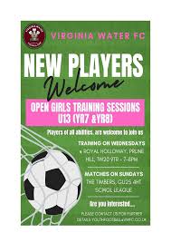 Image result for Virginia Water Fc