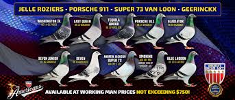 Image result for Meridian Racing Pigeon Lofts