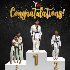 Image result for Red Dragon Taekwondo club