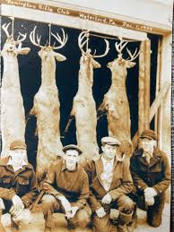 Image result for Alton Rifle Club