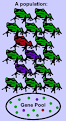 Changes to the Gene Pool: Microevolution