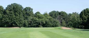 Image result for Surbiton Golf Club