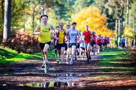 Image result for Alton Runners