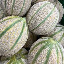 Image result for Melone