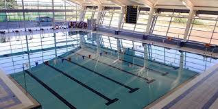 Image result for York University Swimming & Water Polo Club