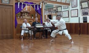Image result for Zen Shin Seicho Do Adult Karate