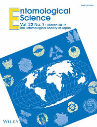 Attēlu rezultāti vaicājumam “Diaperis boleti imago”