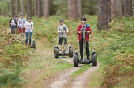 Image result for Go Ape! Thetford