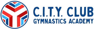 Image result for Focus Institute of Gymnastics