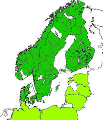 Attēlu rezultāti vaicājumam “Leistus terminatus”