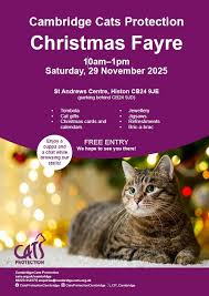 Image result for Cambridge Area Mixed League rounders