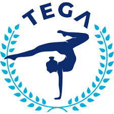 Image result for Epping Forest Elite Gymnastics Club