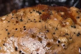 Attēlu rezultāti vaicājumam “Melanospora lagenaria”