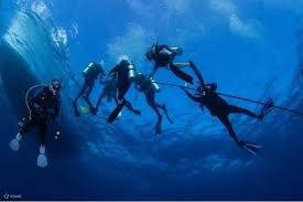 Image result for Three Seas Diving