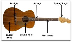 Image result for guitar