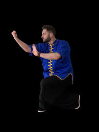 Image result for Tao So Choy Kung Fu Club, Hull