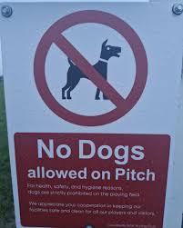 Image result for Causeway Hurling Club