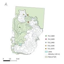 Attēlu rezultāti vaicājumam “Isopaches bicrenatus”
