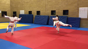 Image result for Comberton Judo Club