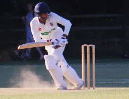 Image result for South Wilts Cricket Club