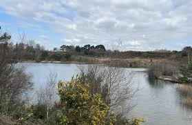 Image result for Poole Harbour Canoe Club