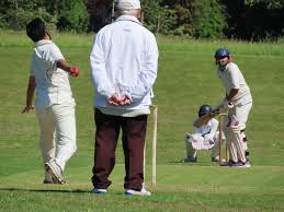 Image result for Saltaire Cricket Club