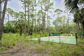 Image result for Forest (Sale) Badminton Club