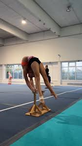 Image result for Sportac 76 Gymnastics Club