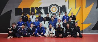 Image result for British Jiu-Jitsu School