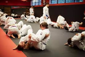 Image result for Martial Arts New Jersey