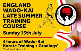 Image result for Thatcham Wado Karate Club
