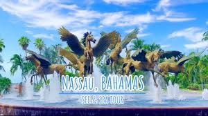 Image result for bahamassee
