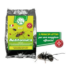 Attēlu rezultāti vaicājumam “Enteridium variabile”