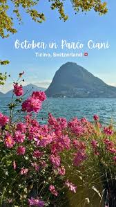 Image result for "Parco Ciani"