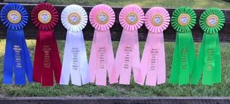 Image result for Four Seasons Circuit Training Club