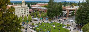 Image result for FOTO ROSA