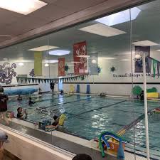 Image result for Derby Phoenix Swimming Club
