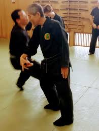 Image result for Bujinkan Dojo Seijitsu
