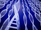 New Genetic Research Increases Accuracy of Identifying Fatal ...